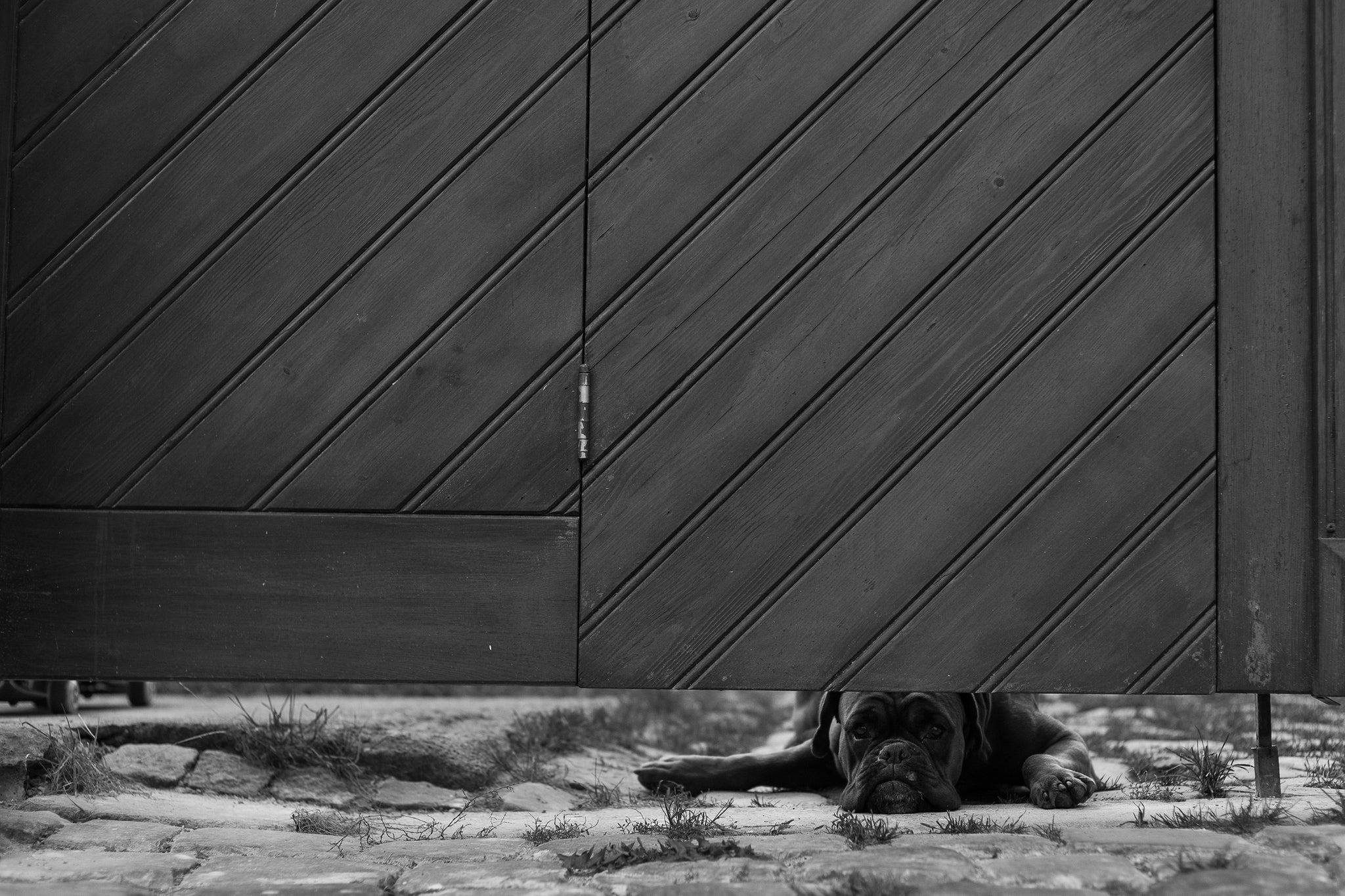Featured Photographer #54: Eli Just